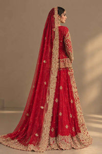 Gul-e-Shabnam
